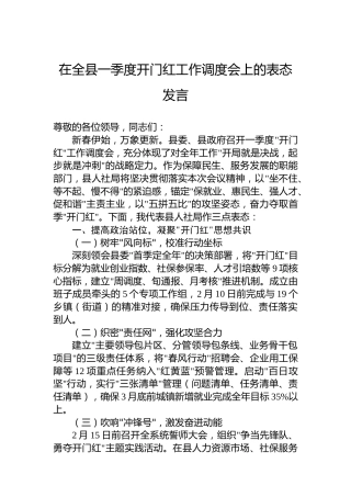 在全县一季度开门红工作调度会上的表态发言