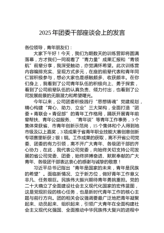 2025年团委干部座谈会上的发言