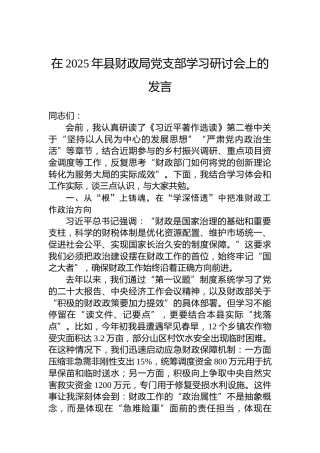 在2025年县财政局党支部学习研讨会上的发言