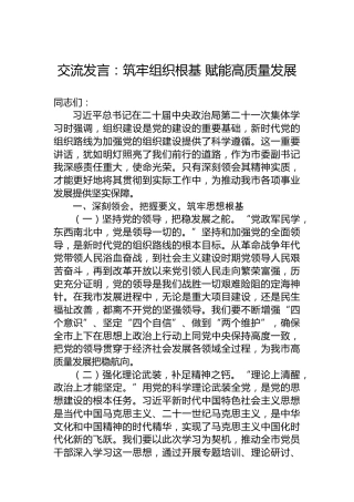 交流发言：筑牢组织根基 赋能高质量发展