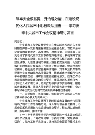 筑牢安全根基提，升治理效能，在建设现代化人民城市中彰显政法担当——学习贯彻中央城市工作会议精神研讨发言