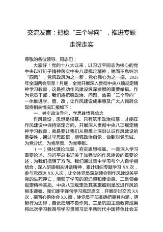 交流发言：把稳“三个导向”，推进专题走深走实