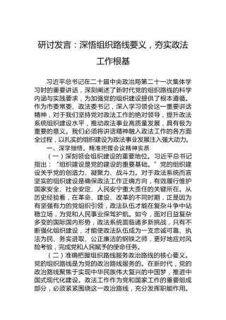 研讨发言：深悟组织路线要义，夯实政法工作根基