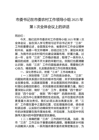市委书记在市委农村工作领导小组2025年第1次全体会议上的讲话