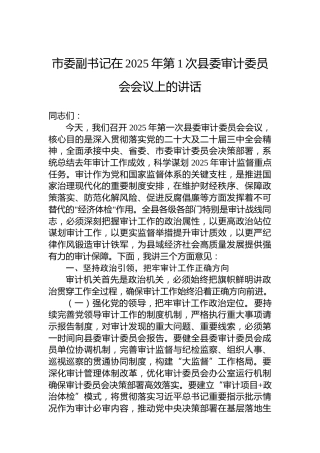 市委副书记在2025年第1次县委审计委员会会议上的讲话