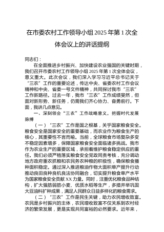 在市委农村工作领导小组2025年第1次全体会议上的讲话提纲