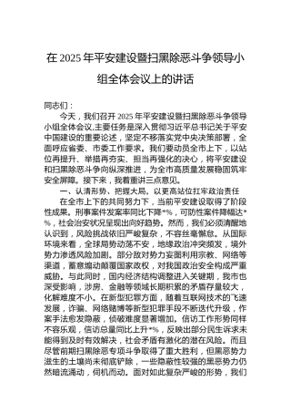 在2025年平安建设暨扫黑除恶斗争领导小组全体会议上的讲话
