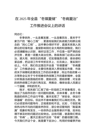 在2025年全县“冬煤夏储”“冬病夏治”工作推进会议上的讲话