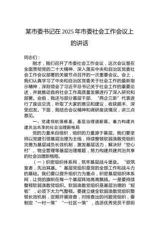 某市委书记在2025年市委社会工作会议上的讲话