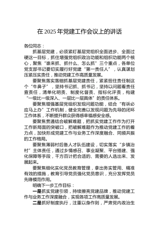 在2025年党建工作会议上的讲话
