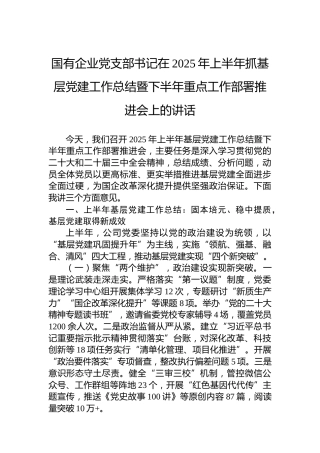 国有企业党支部书记在2025年上半年抓基层党建工作总结暨下半年重点工作部署推进会上的讲话
