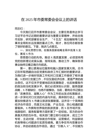 在2025年市委常委会会议上的讲话