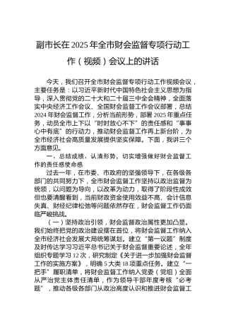 副市长在2025年全市财会监督专项行动工作（视频）会议上的讲话
