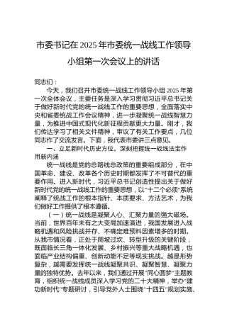 市委书记在2025年市委统一战线工作领导小组第一次会议上的讲话