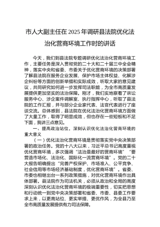 市人大副主任在2025年调研县法院优化法治化营商环境工作时的讲话