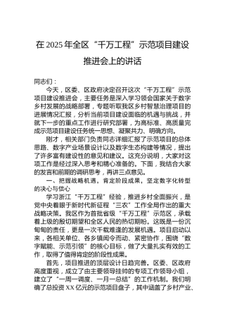 在2025年全区“千万工程”示范项目建设推进会上的讲话