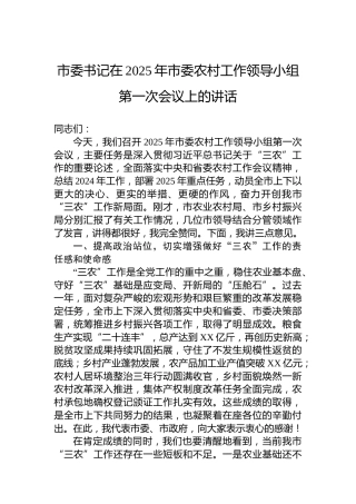 市委书记在2025年市委农村工作领导小组第一次会议上的讲话
