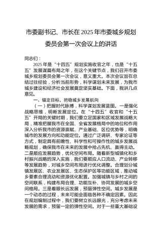 市委副书记、市长在2025年市委城乡规划委员会第一次会议上的讲话