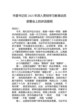 市委书记在2025年深入贯彻学习教育动员部署会上的讲话提纲