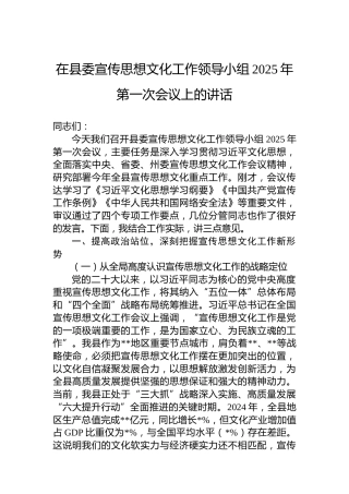 在县委宣传思想文化工作领导小组2025年第一次会议上的讲话