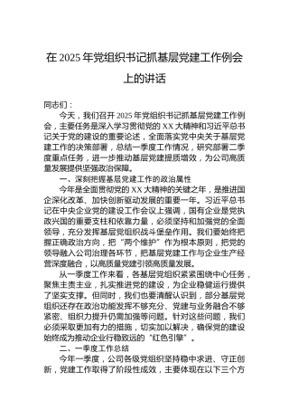 在2025年党组织书记抓基层党建工作例会上的讲话