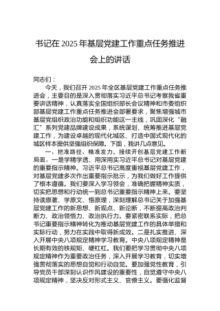 书记在2025年基层党建工作重点任务推进会上的讲话