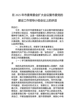 在2025年市委常委会扩大会议暨市委党的建设工作领导小组会议上的讲话
