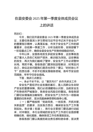 在县安委会2025年第一季度全体成员会议上的讲话