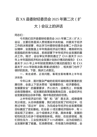 在XX县委财经委员会2025年第二次（扩大）会议上的讲话