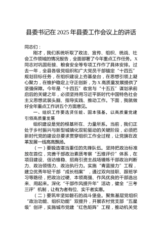 县委书记在2025年县委工作会议上的讲话