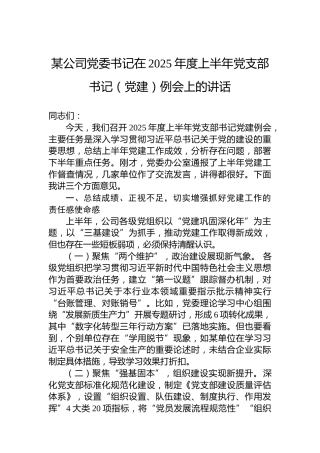 某公司党委书记在2025年度上半年党支部书记（党建）例会上的讲话