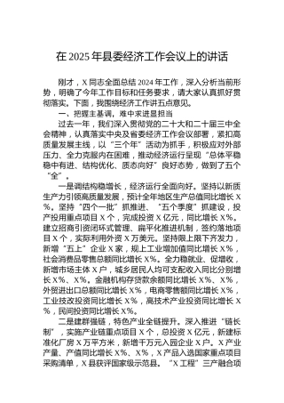 在2025年县委经济工作会议上的讲话
