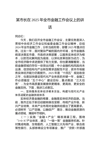 某市长在2025年全市金融工作会议上的讲话