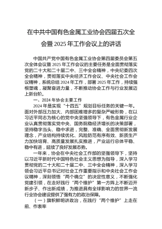 在中共中国有色金属工业协会四届五次全会暨2025年工作会议上的讲话