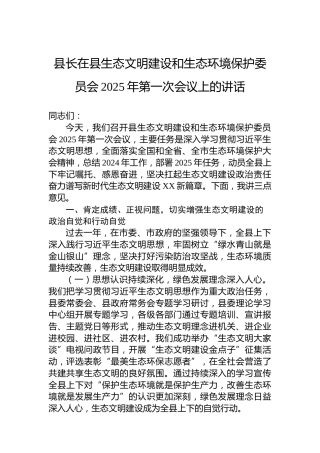 县长在县生态文明建设和生态环境保护委员会2025年第一次会议上的讲话