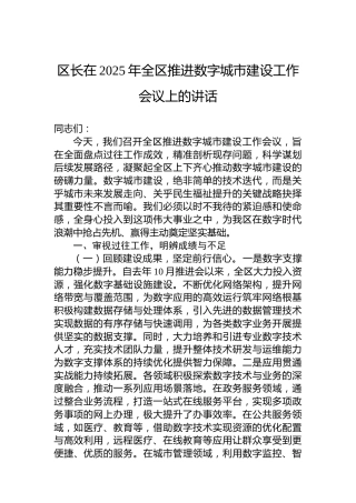 区长在2025年全区推进数字城市建设工作会议上的讲话