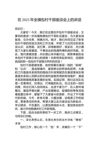 在2025年全镇包村干部座谈会上的讲话