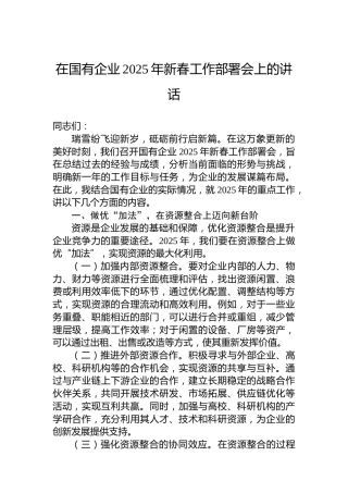 在国有企业2025年新春工作部署会上的讲话