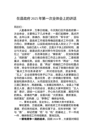 在县政府2025年第一次全体会上的讲话