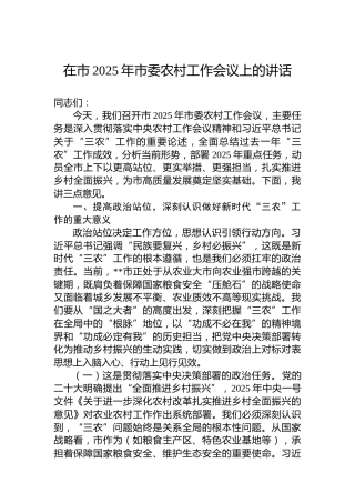 在市2025年市委农村工作会议上的讲话