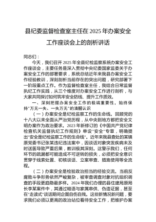 县纪委监督检查室主任在2025年办案安全工作座谈会上的剖析讲话