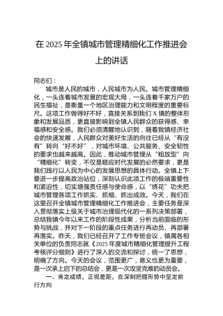 在2025年全镇城市管理精细化工作推进会上的讲话