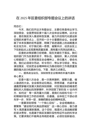 在2025年区委组织部专题会议上的讲话