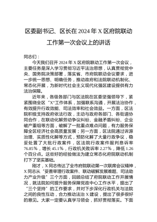 区委副书记、区长在2024年X区府院联动工作第一次会议上的讲话