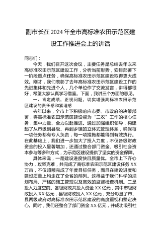 副市长在2024年全市高标准农田示范区建设工作推进会上的讲话