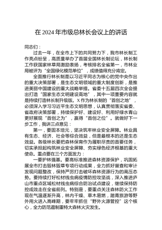 在2024年市级总林长会议上的讲话
