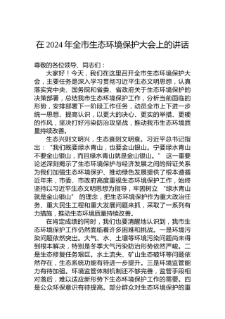 在2024年全市生态环境保护大会上的讲话