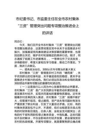 市纪委书记、市监委主任在全市农村集体“三资”管理突出问题专项整治推进会上的讲话