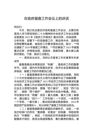 在政府督查工作会议上的讲话