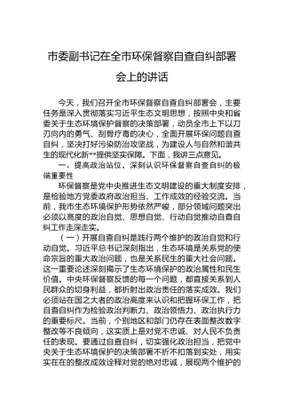 市委副书记在全市环保督察自查自纠部署会上的讲话